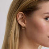 Wave Studs